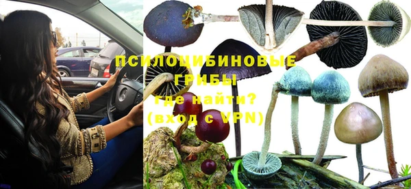 бошки Алексин